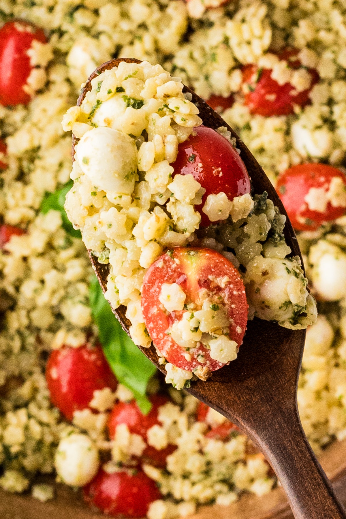 EXCLUSIVE: Caprese Pastina Salad