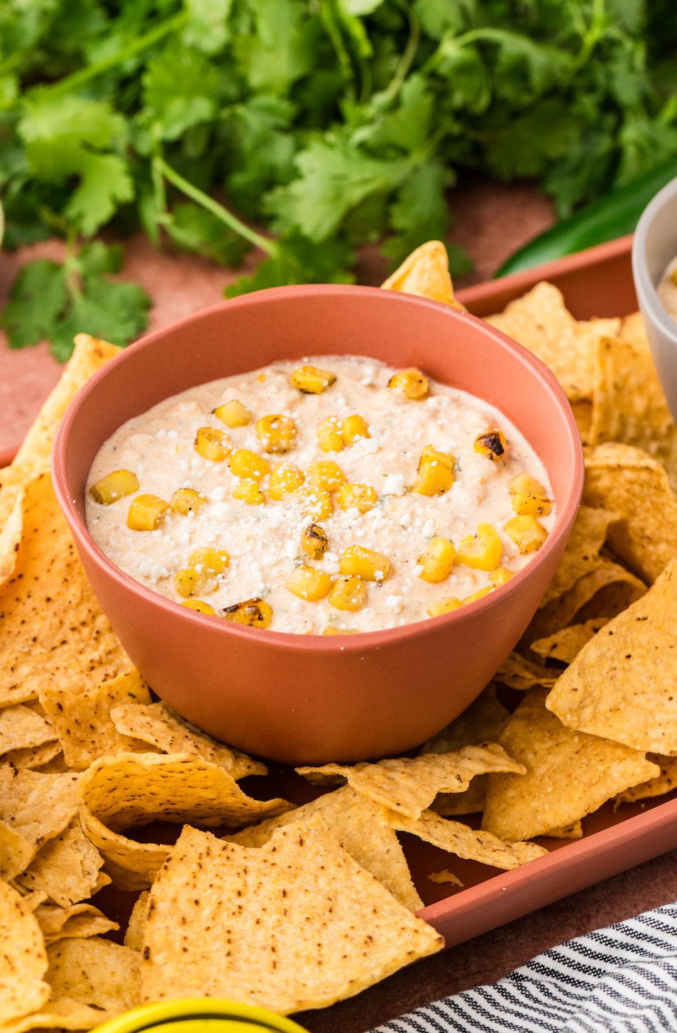 EXCLUSIVE: Cottage Cheese Street Corn Dip