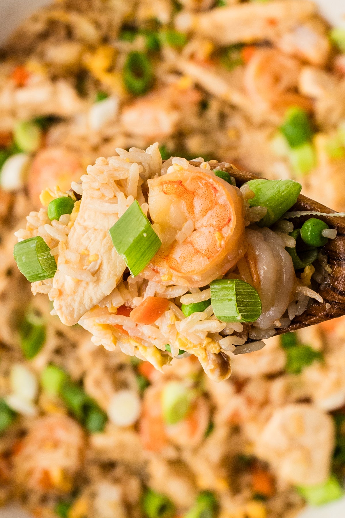 EXCLUSIVE: Shrimp and Chicken Fried Rice