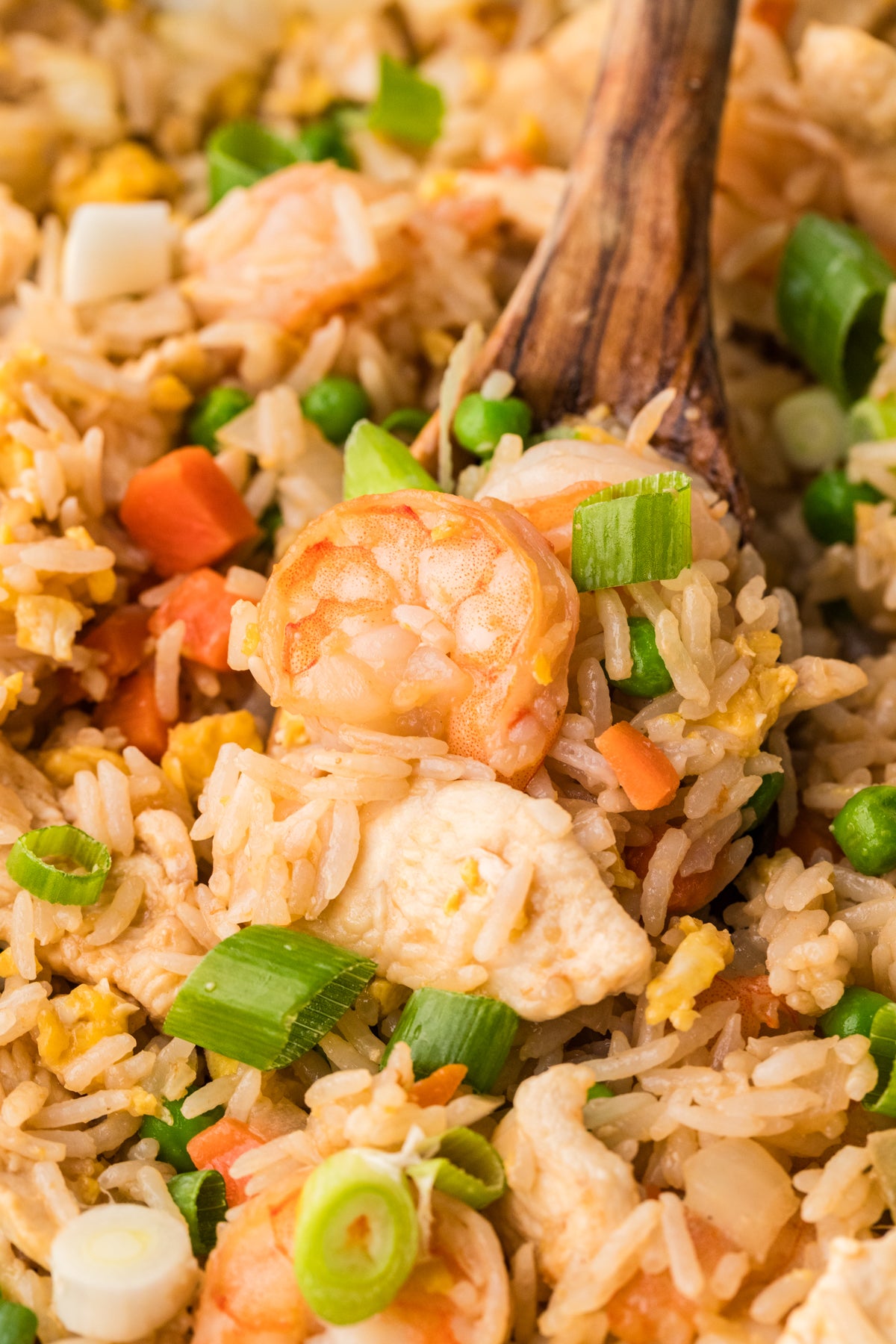 EXCLUSIVE: Shrimp and Chicken Fried Rice