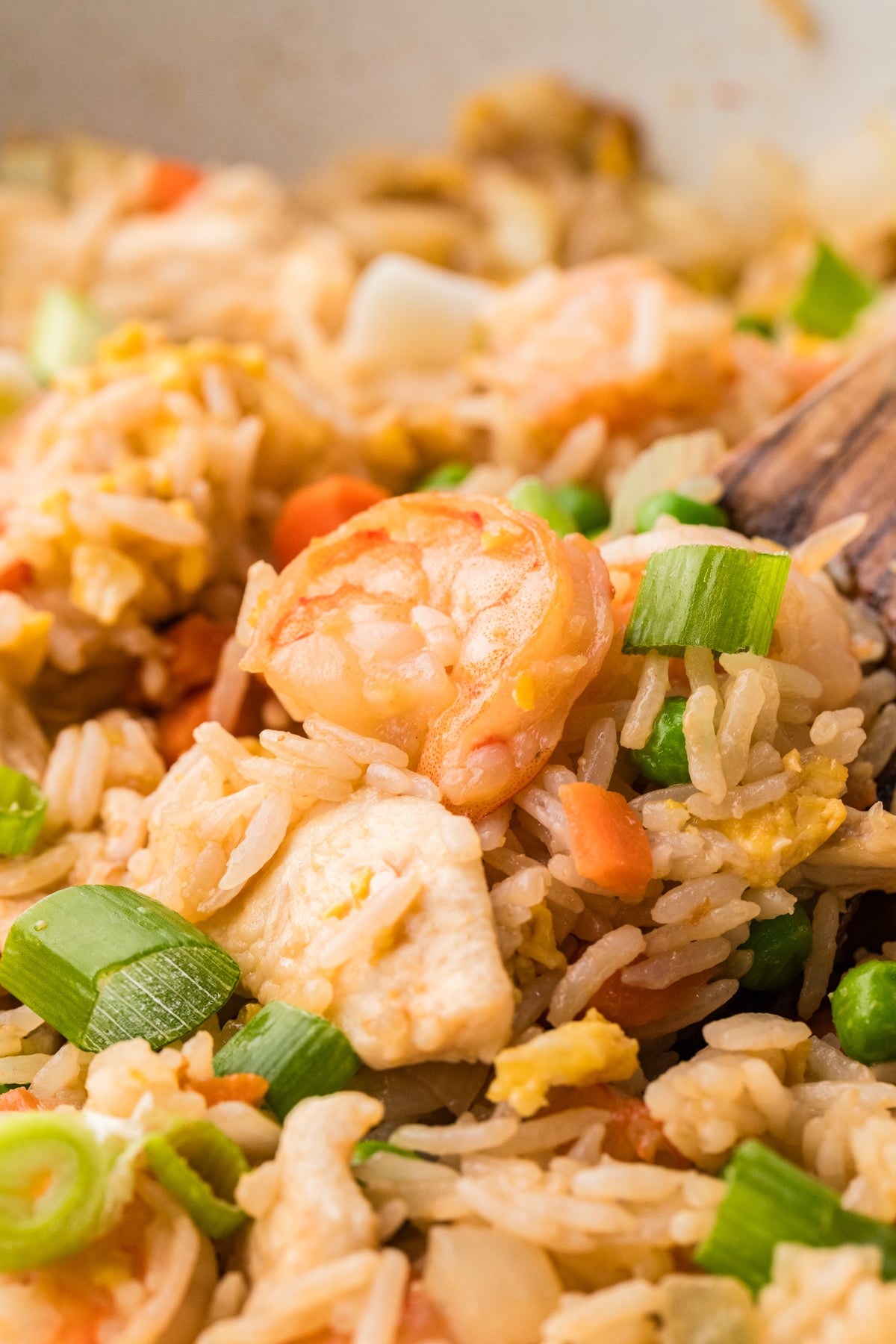 EXCLUSIVE: Shrimp and Chicken Fried Rice
