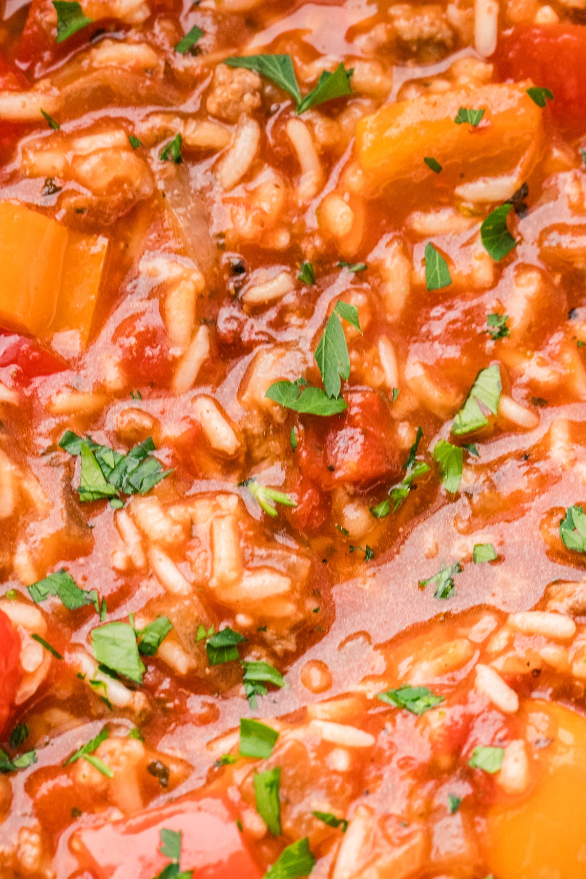 EXCLUSIVE: Slow Cooker Stuffed Pepper Soup