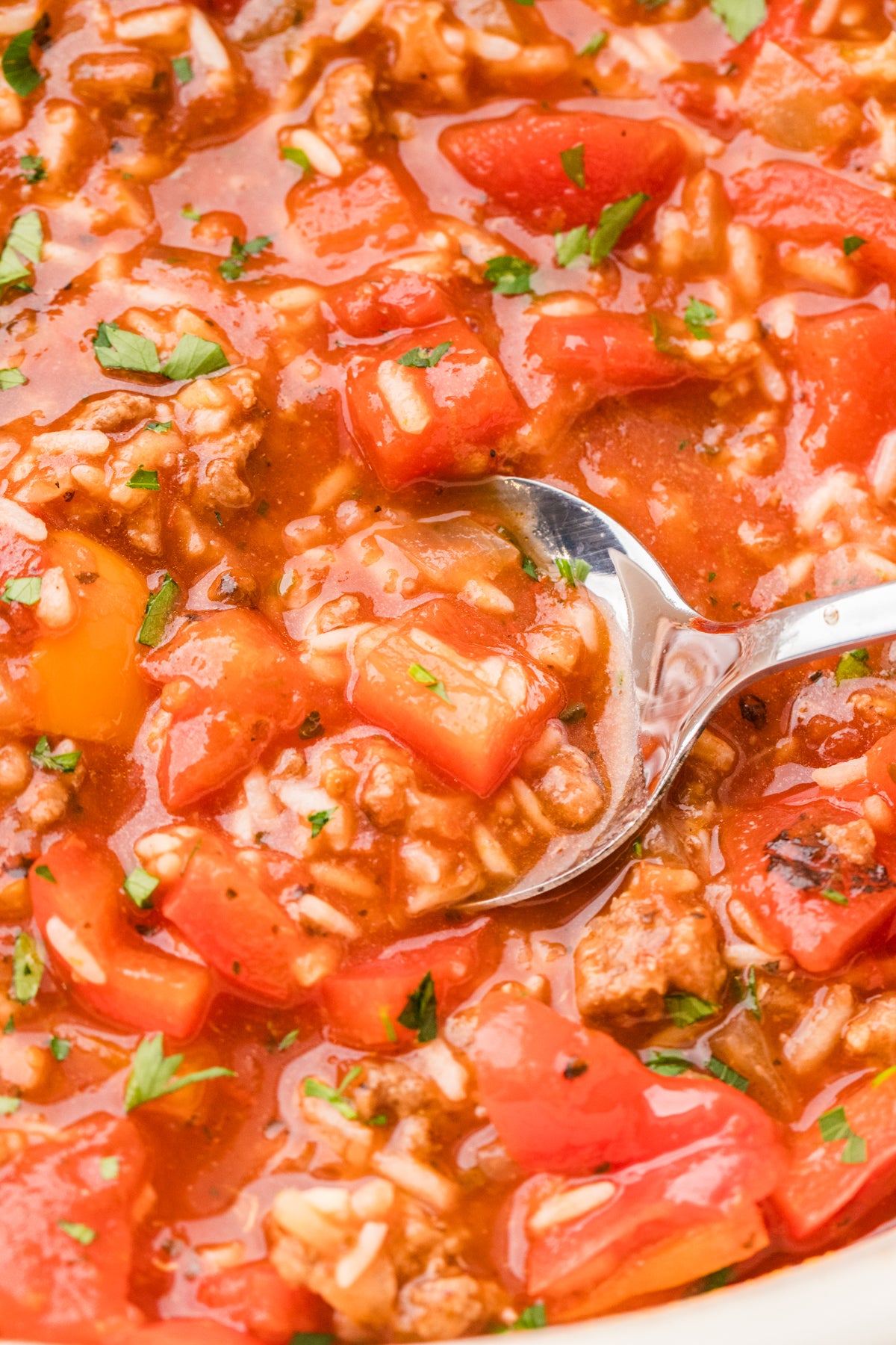 EXCLUSIVE: Slow Cooker Stuffed Pepper Soup
