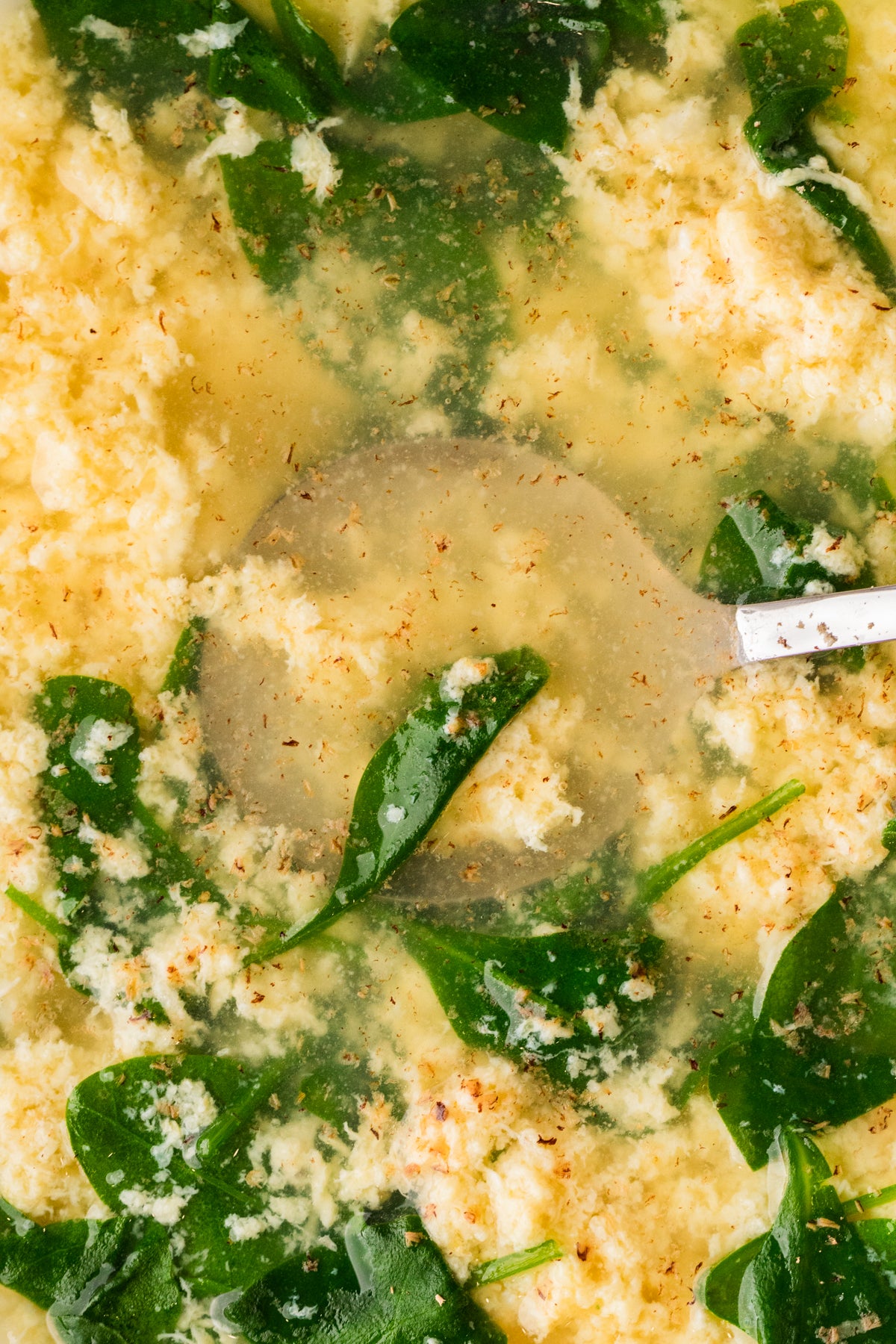 EXCLUSIVE: Stracciatella Soup