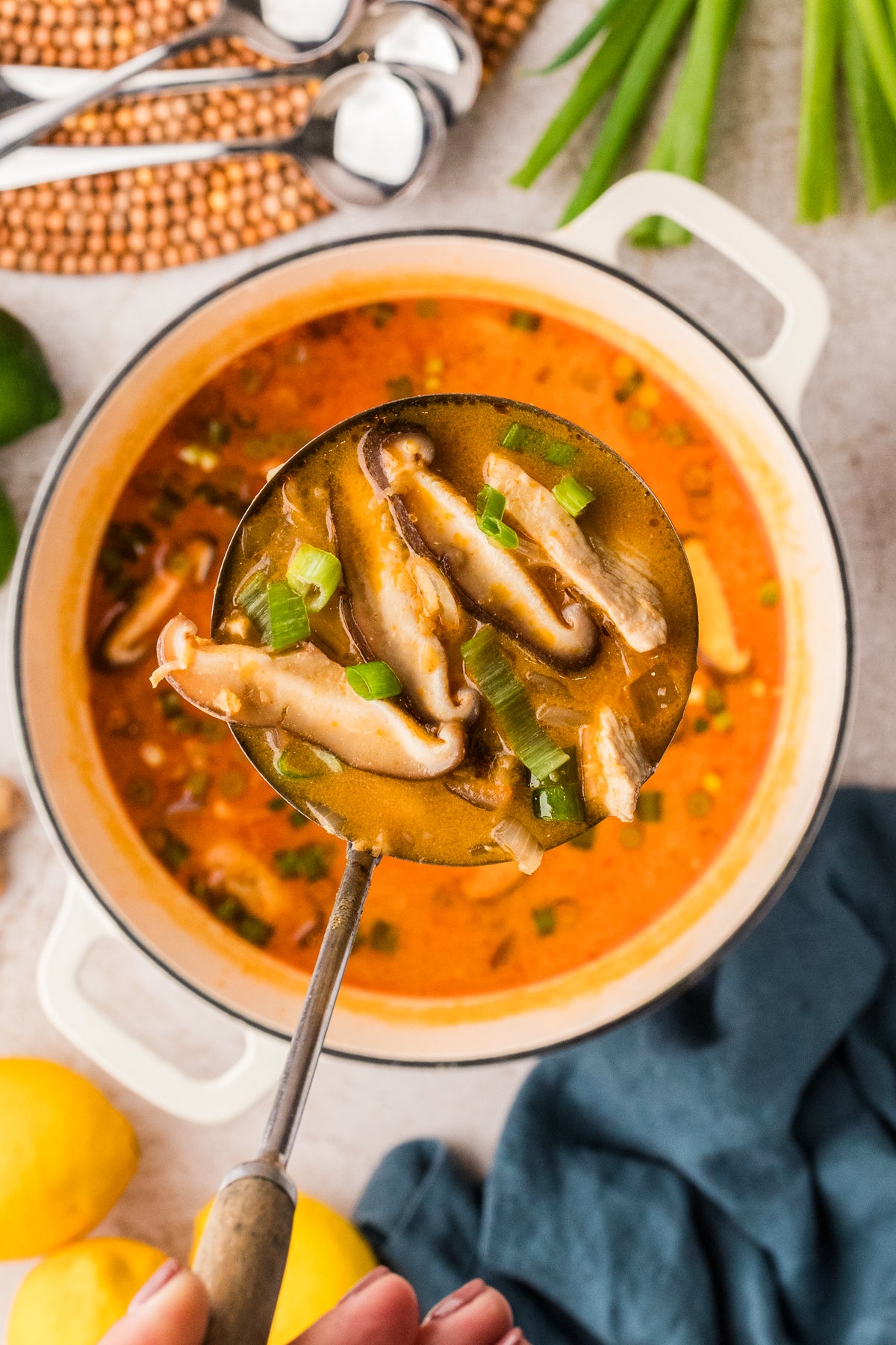 EXCLUSIVE: Thai Chicken Soup