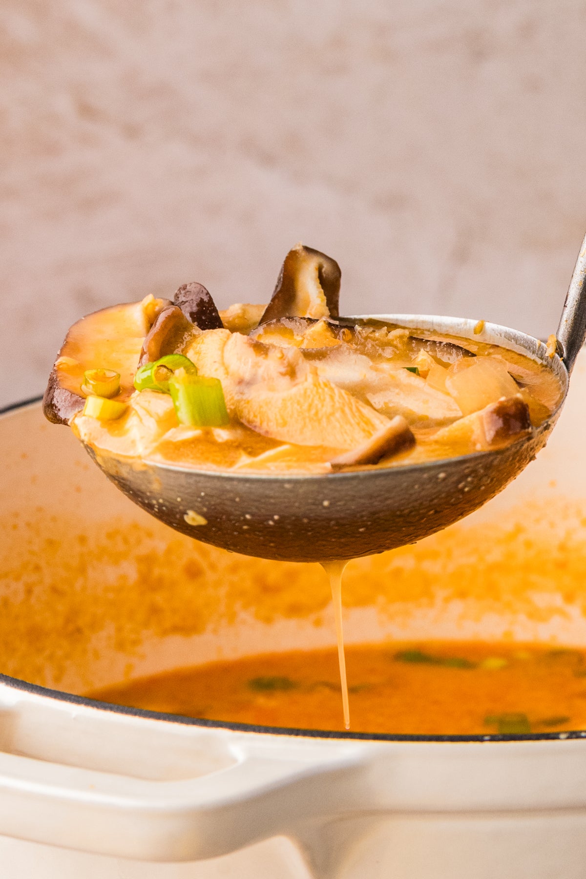 EXCLUSIVE: Thai Chicken Soup
