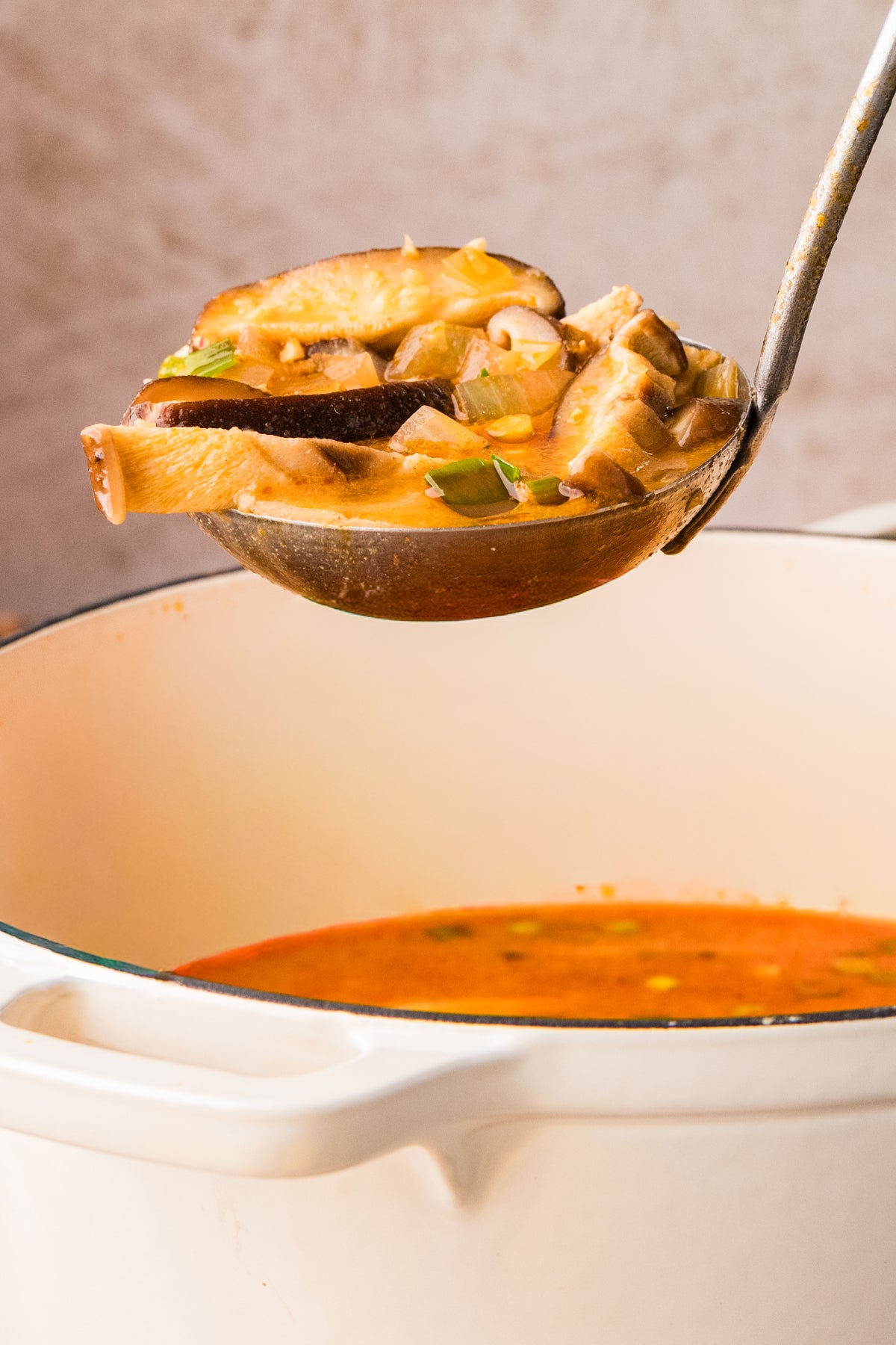 EXCLUSIVE: Thai Chicken Soup