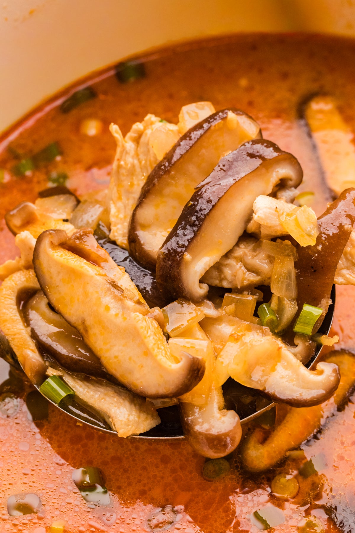 EXCLUSIVE: Thai Chicken Soup