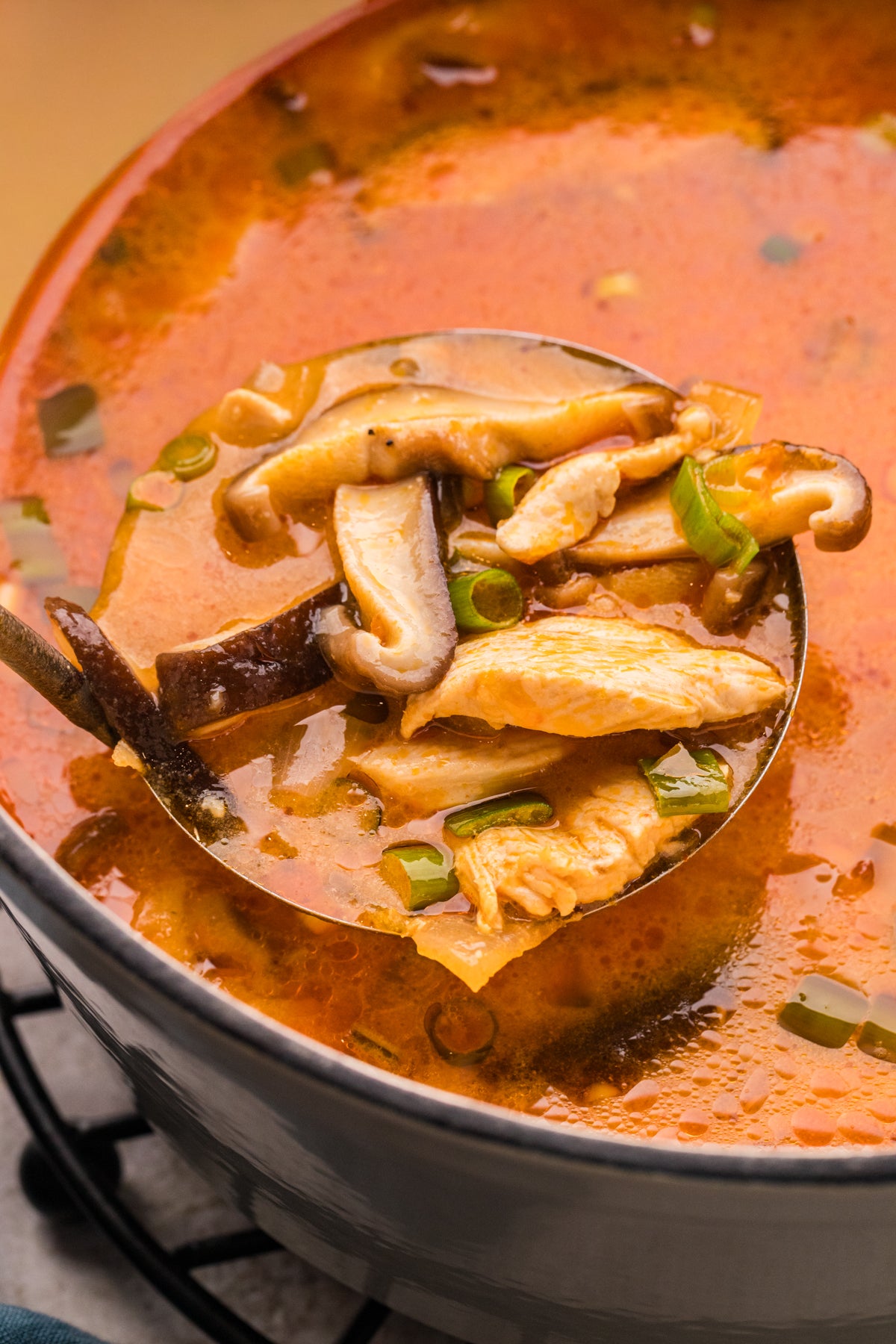 EXCLUSIVE: Thai Chicken Soup