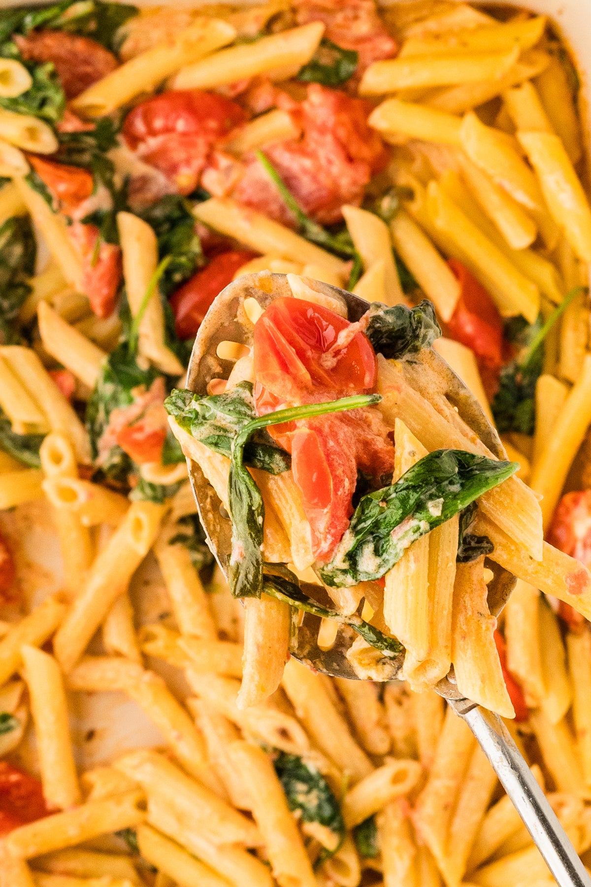 EXCLUSIVE: Boursin Pasta