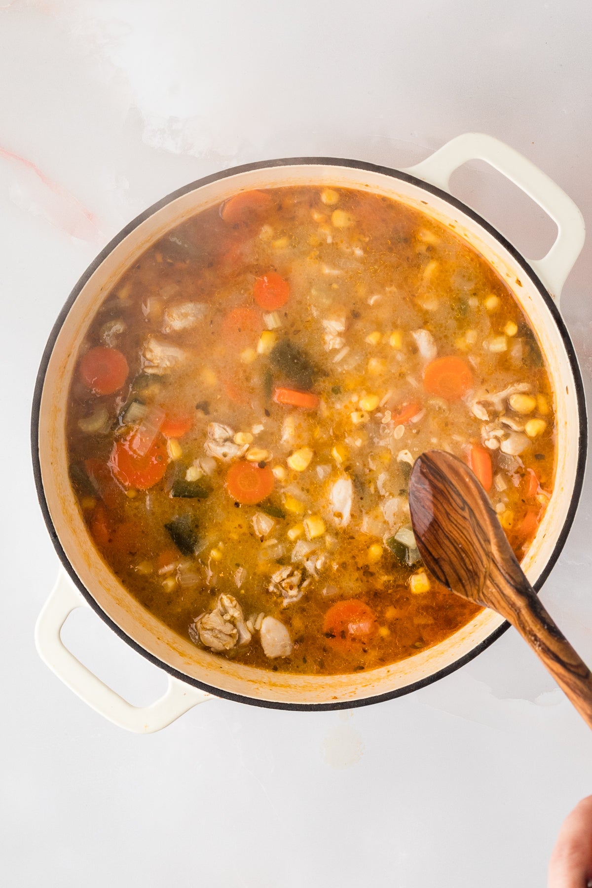 EXCLUSIVE: Corn and Poblano Soup with Chicken and Rice