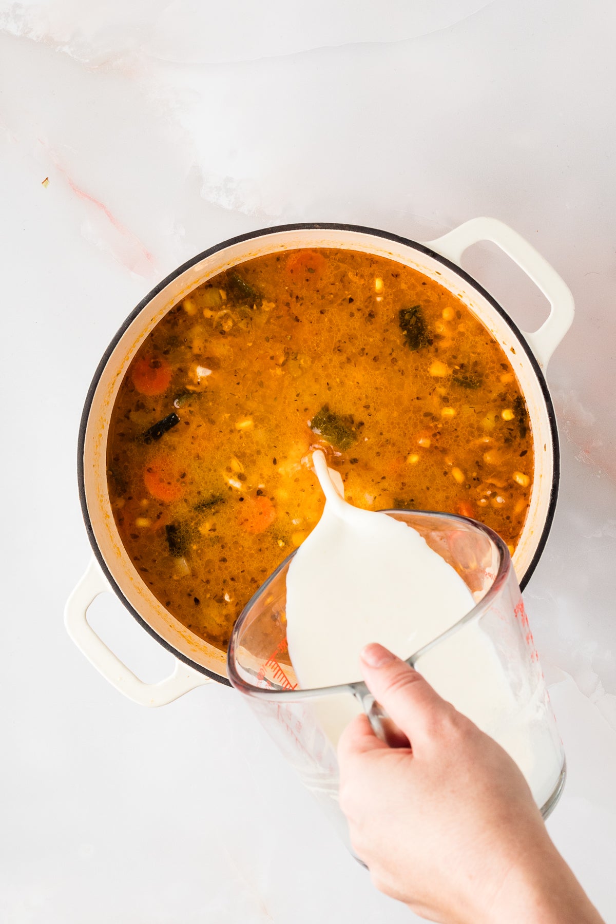 EXCLUSIVE: Corn and Poblano Soup with Chicken and Rice