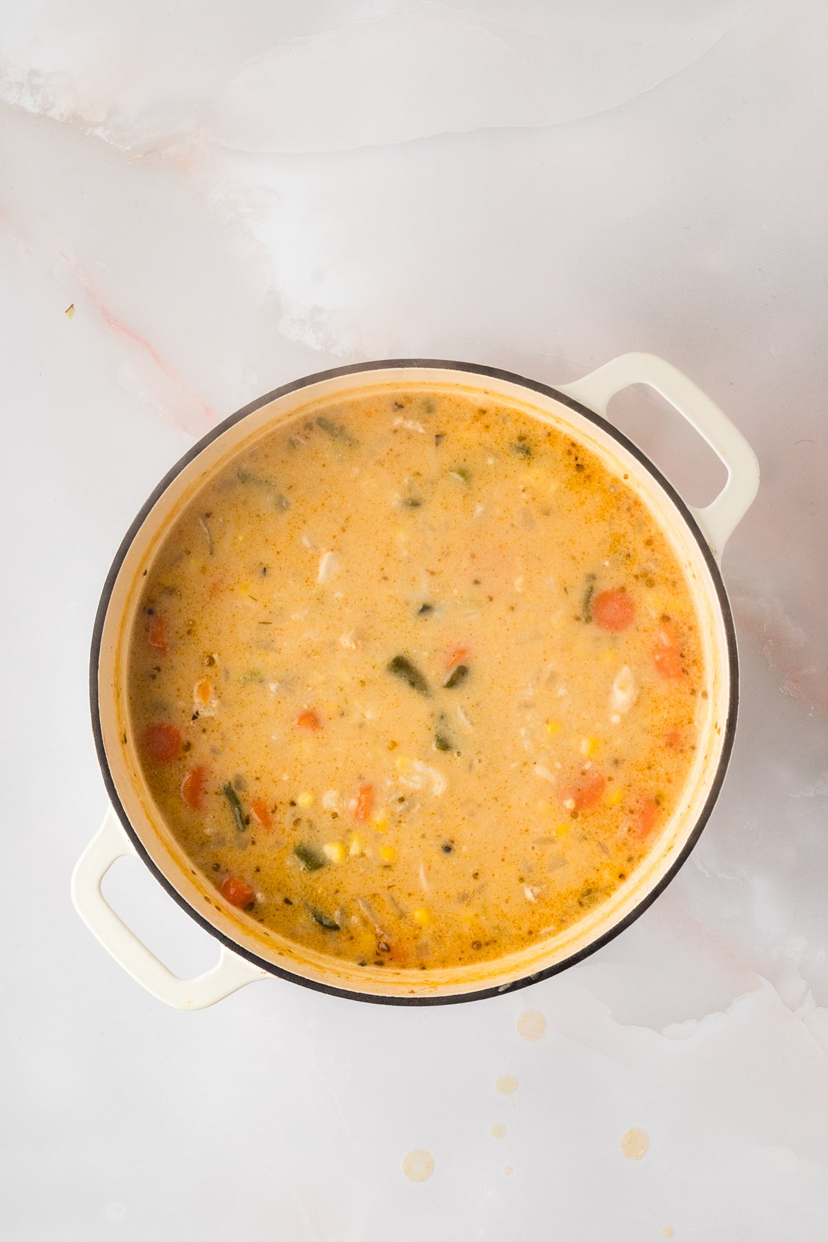 EXCLUSIVE: Corn and Poblano Soup with Chicken and Rice