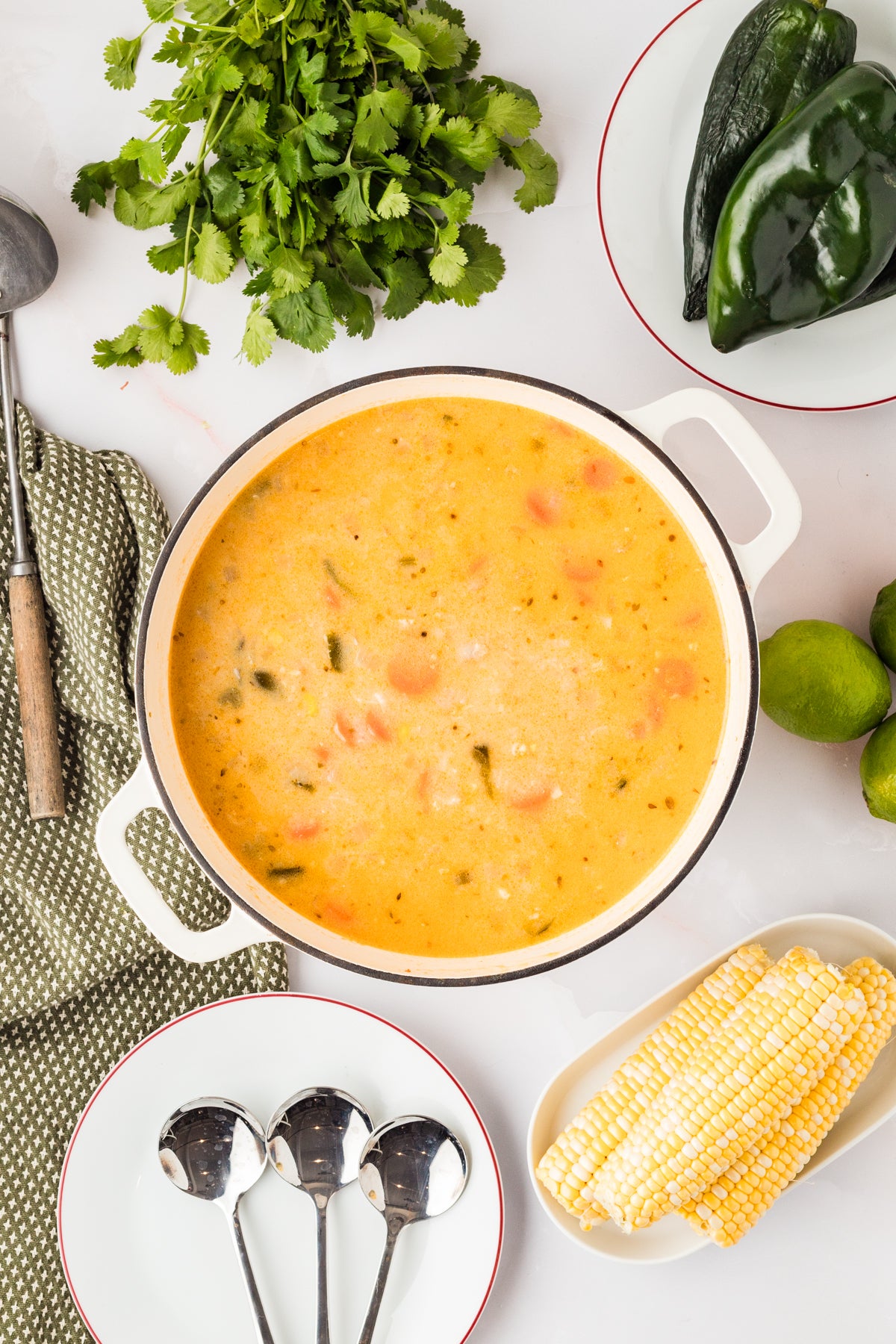 EXCLUSIVE: Corn and Poblano Soup with Chicken and Rice