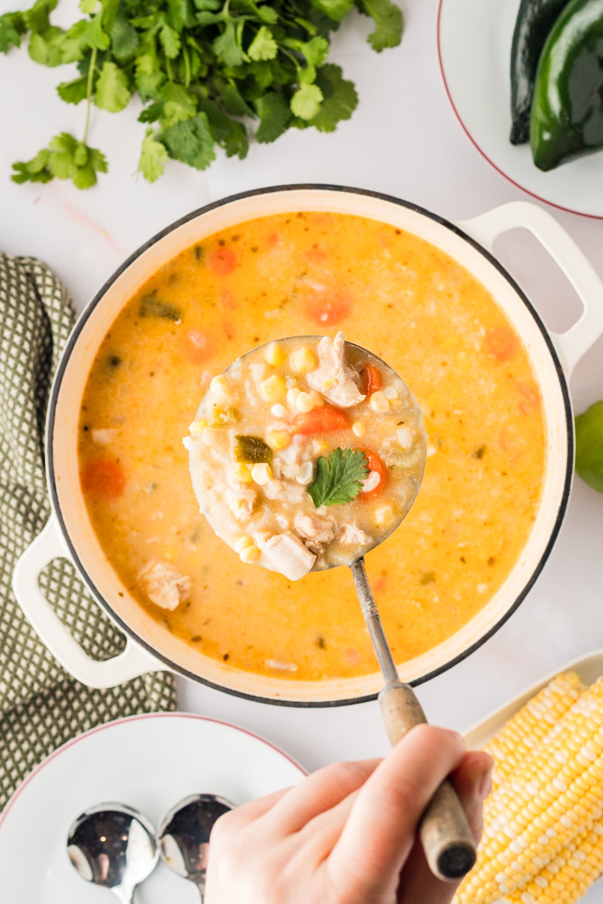 EXCLUSIVE: Corn and Poblano Soup with Chicken and Rice