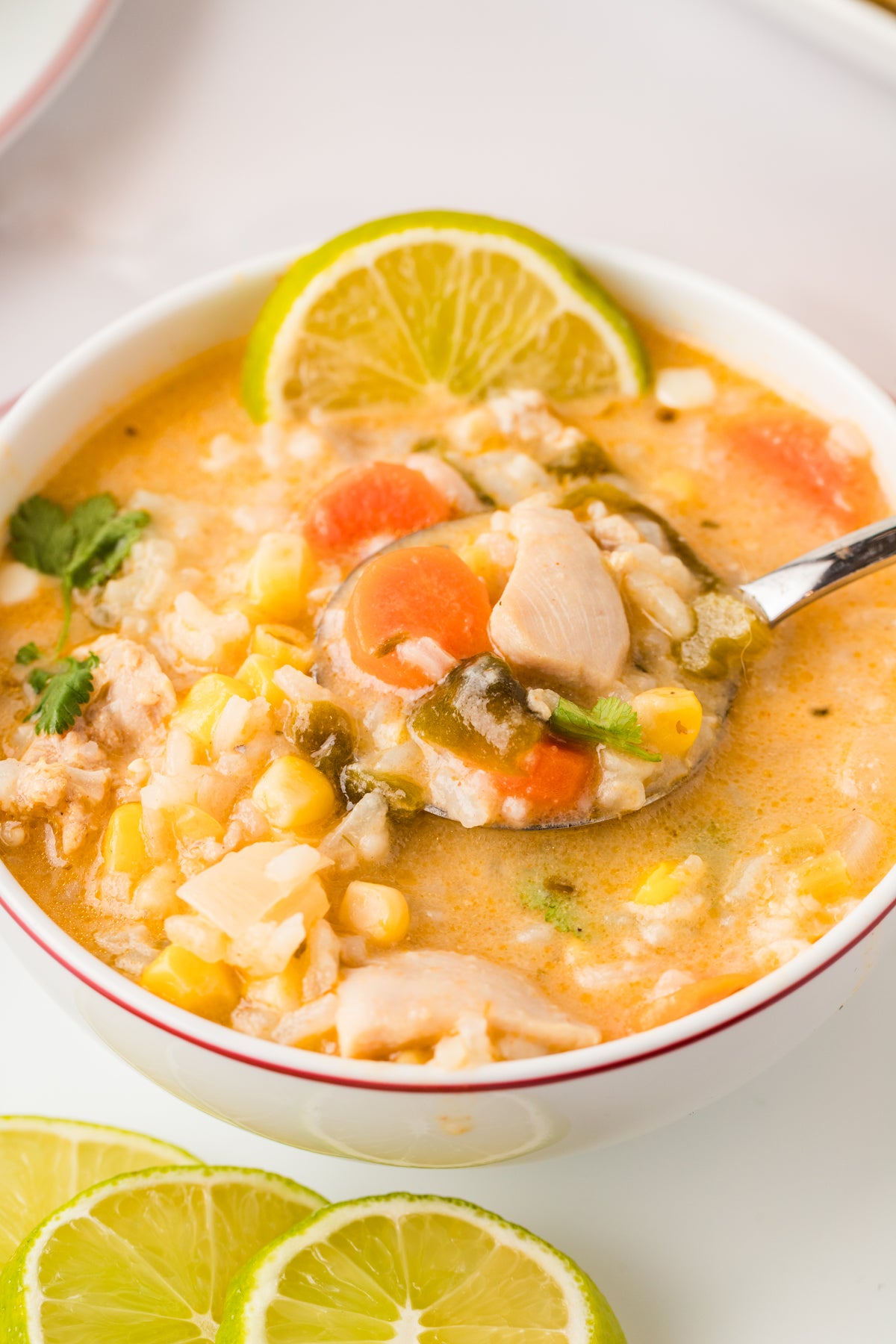 EXCLUSIVE: Corn and Poblano Soup with Chicken and Rice