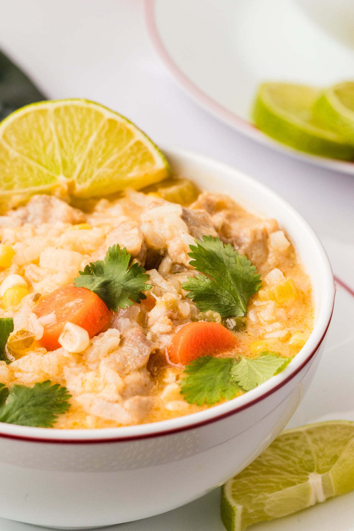 EXCLUSIVE: Corn and Poblano Soup with Chicken and Rice