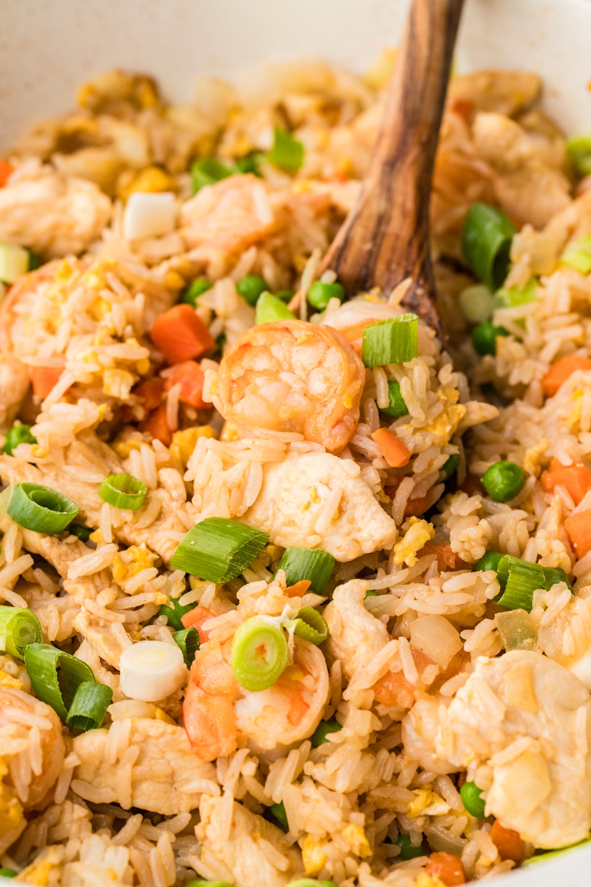 EXCLUSIVE: Shrimp and Chicken Fried Rice